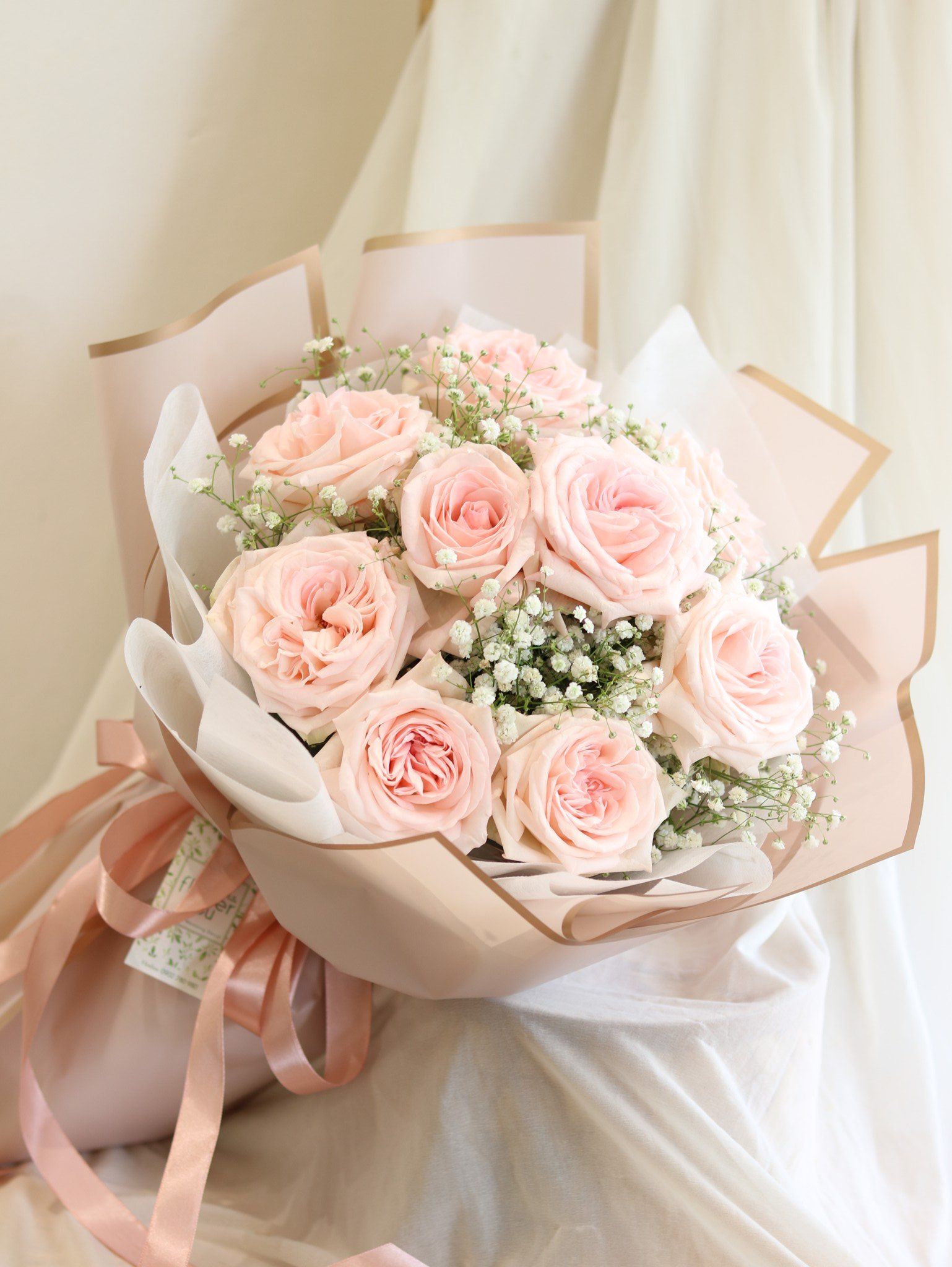PINK OHARA ROSE - BABY 9HQ